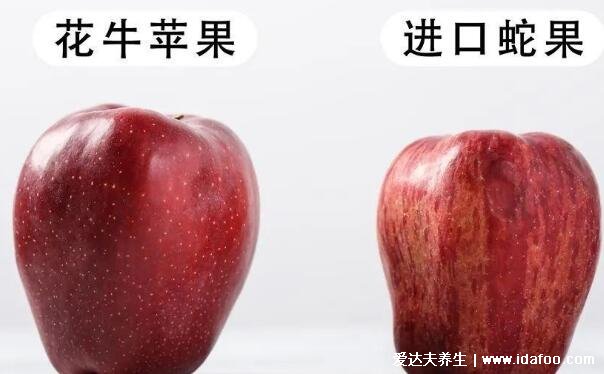 花牛苹果和蛇果的区别图片,4大区别口感营养差不多但蛇果贵好几倍
