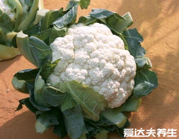 花椰菜是什么菜,甘蓝的变种蔬菜与西兰花类似(花椰菜图片)