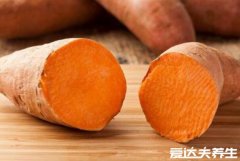 红薯吃了发胖还是减肥,吃对了减肥吃错了