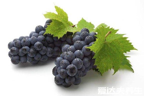患肾结石不能吃什么食物,动物内脏吃了最容易得结石