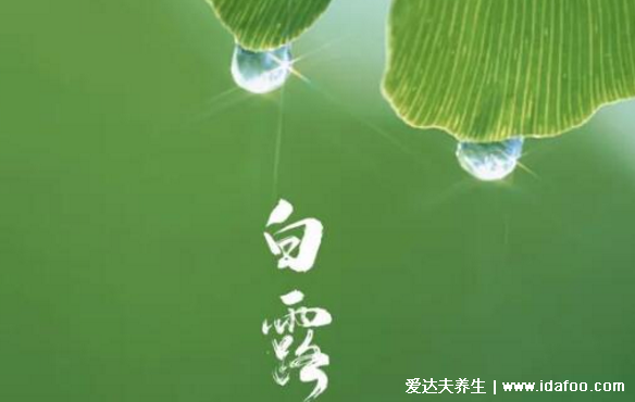 白露节气的含义是什么,吃什么传统食物能养生(秋季转凉)