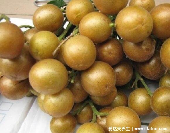 黄皮果图片大全大图,黄皮果的功效与作用及禁忌