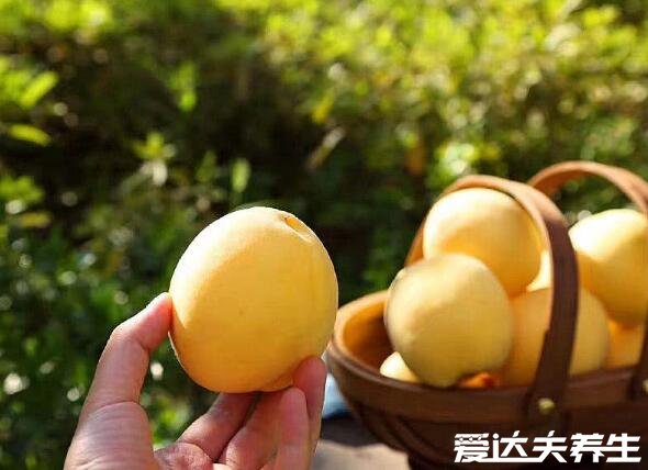 黄桃的功效与作用,能够滋阴补肾降低血压(图片)