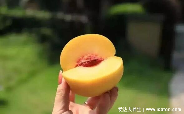 黄桃是热性还是凉性,吃黄桃上火还是降火(温性吃多上火)