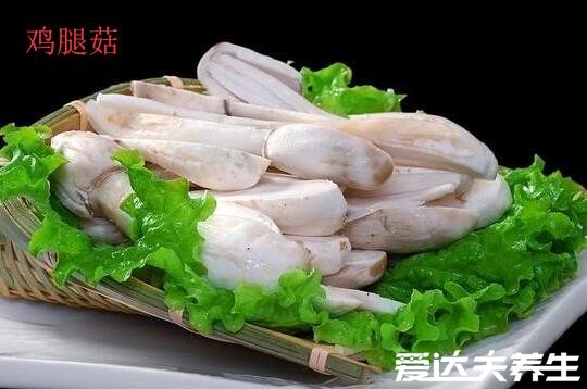 鸡腿菇和杏鲍菇的区别，不论外形还是口感皆不相同(鸡腿菇图片)