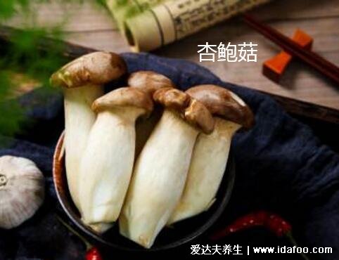 鸡腿菇和杏鲍菇的区别图片,白色菌盖外形像鸡腿的是鸡腿菇