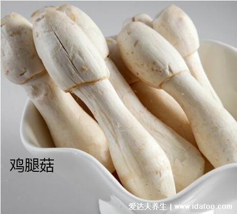 鸡腿菇和杏鲍菇的区别图片,白色菌盖外形像鸡腿的是鸡腿菇