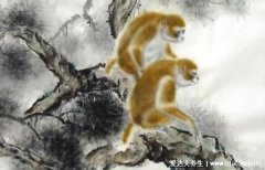 2022属虎的最怕的三个生肖,遇到属猴人婚姻