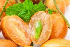 黄皮果图片大全大图,黄皮果的功效与作用