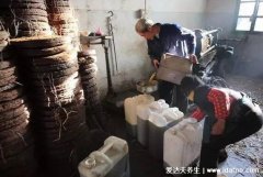 黄曲霉素主要存在于什么食物中,除了发霉