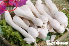 鸡腿菇和杏鲍菇的区别，不论外形还是口感