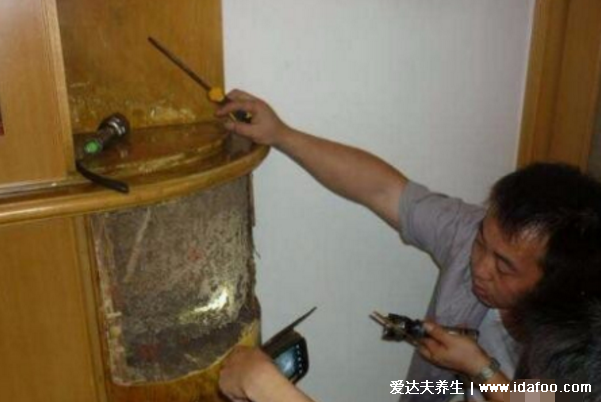 白蚁怎么消灭才干净,教你找到白蚁窝然后一举消灭
