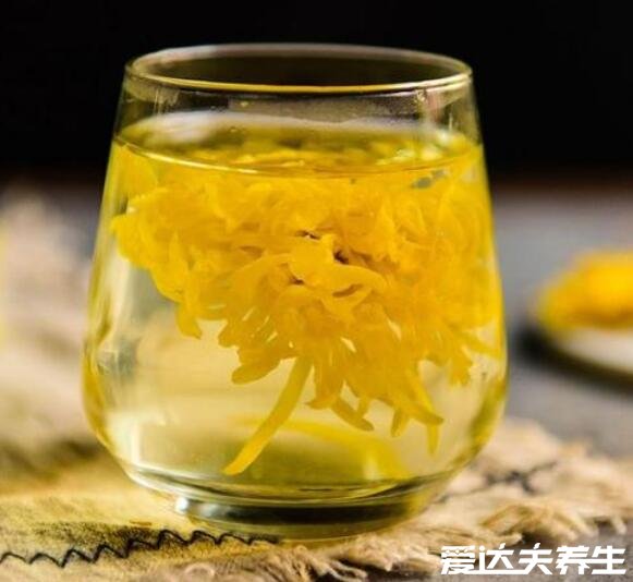 金丝皇菊的功效与作用,能起到降压解毒保肝解酒的作用