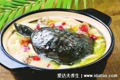 甲鱼汤怎么炖补肾效果好,清炖一定要加上