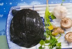 甲鱼汤怎么做好喝又营养,清汤甲鱼滋补简