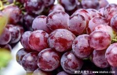 碱性水果有哪些,大部分水果都是碱性(附十