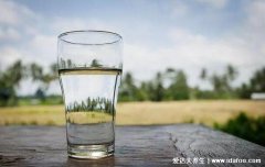 降尿酸的8种食物，每天喝1500-2000ml的白开水
