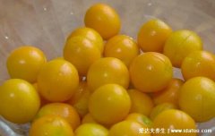 金桔怎么吃最好,盐水泡15分钟洗干净直接吃