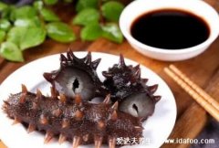 吃海参的最佳季节,春季食用最佳预防感冒