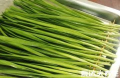 韭菜加醋能补肾壮阳吗，不仅壮阳补肾还能