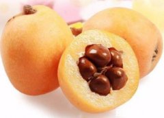 咳嗽吃什么食物好得最快最有效,枇杷的润