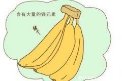 空腹吃香蕉可以吗?可以空腹吃辟谣两大谣言