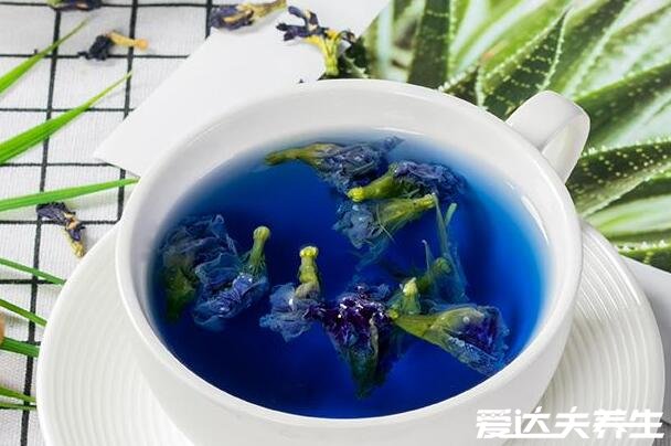 蓝蝴蝶的功效与作用及食用方法,做成花茶喝有抗衰老等4大功效(图片)