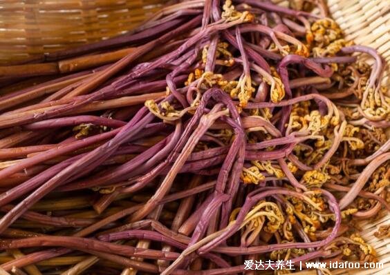 六种超级降压食物,除了蕨菜还有这五种好吃又降压