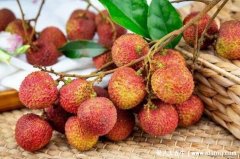 荔枝是热性的还是凉性的,上火还是降火(温