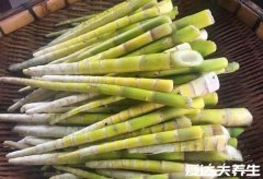 六种人不宜多吃竹笋，发育期儿童吃多了会