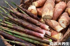 六种人不宜多吃竹笋，发育期儿童吃多了容