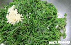 龙须菜的功效与作用及禁忌，不仅可以促进