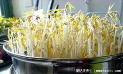 绿豆芽怎么发豆芽的步骤，只需一个饮料瓶