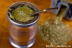 马黛茶的功效与作用，与酒精共饮增加患癌