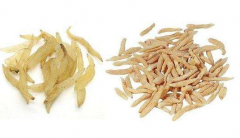 麦冬泡水喝的五大禁忌，关于麦冬你需要知