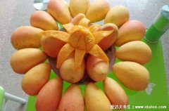 芒果是热性还是凉性,凉性水果一天吃1-2个