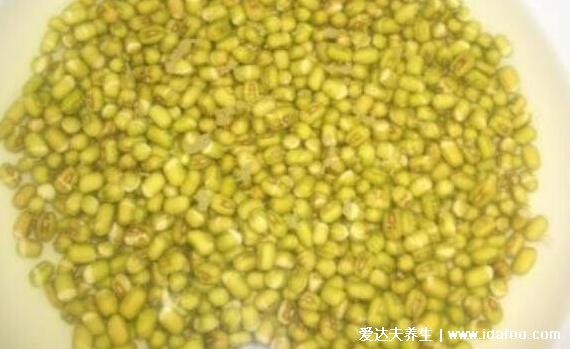绿豆芽怎么发豆芽的步骤,只需一个饮料瓶5个步骤超简单