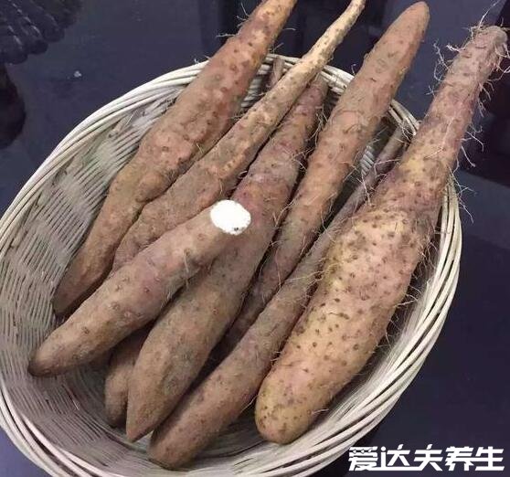 毛薯和山药的区别,毛薯的功效和作用大全
