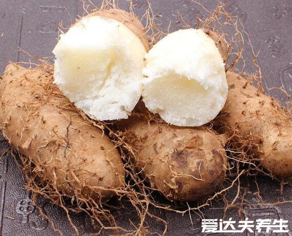 毛薯和山药的区别,毛薯的功效和作用大全