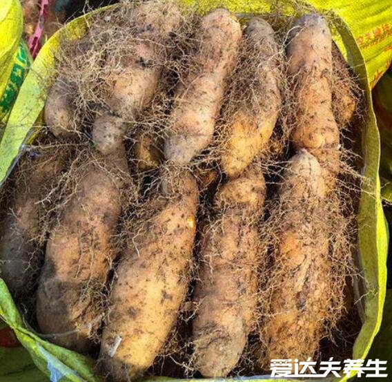 毛薯和山药的区别,毛薯的功效和作用大全