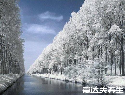 大雪节气的含义是什么,天气变冷要下大雪(附大雪养生事项)