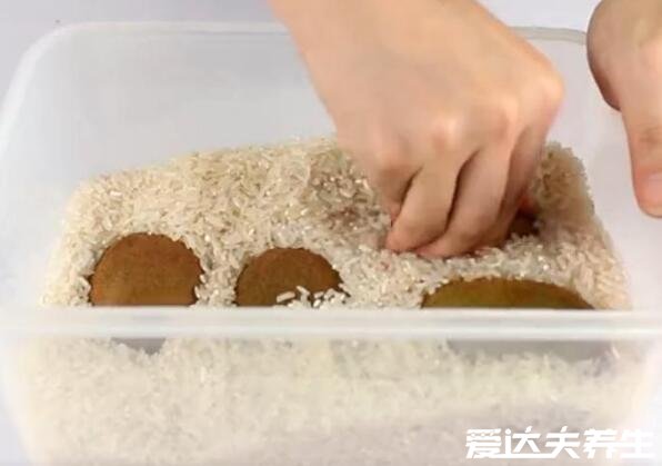 猕猴桃怎么催熟,5种猕猴桃催熟方法2天就能完全成熟