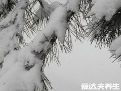 大雪节气的含义是什么，天气变冷要下大雪