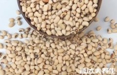 眉豆的功效与作用禁忌及做法，用来炖汤不