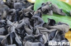 木耳的功效与作用,对于预防血栓有奇效(高