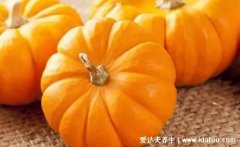 南瓜的18种家常做法，4道受欢迎南瓜做法视