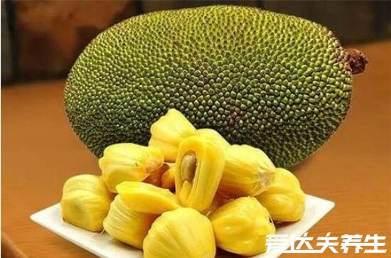 木菠萝的营养价值及功效,与菠萝蜜的区别(木菠萝等于菠萝蜜)