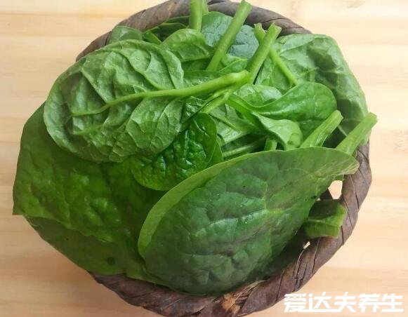 木耳菜的功效与作用,能保肝护肝降压降脂适合中老年食用(图片)