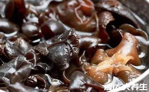 木耳泡多久就不能吃了,一般泡发8个小时后就不建议吃