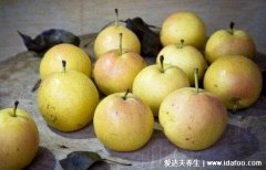 南果梨的功效和禁忌，3大保健功效和5大禁忌